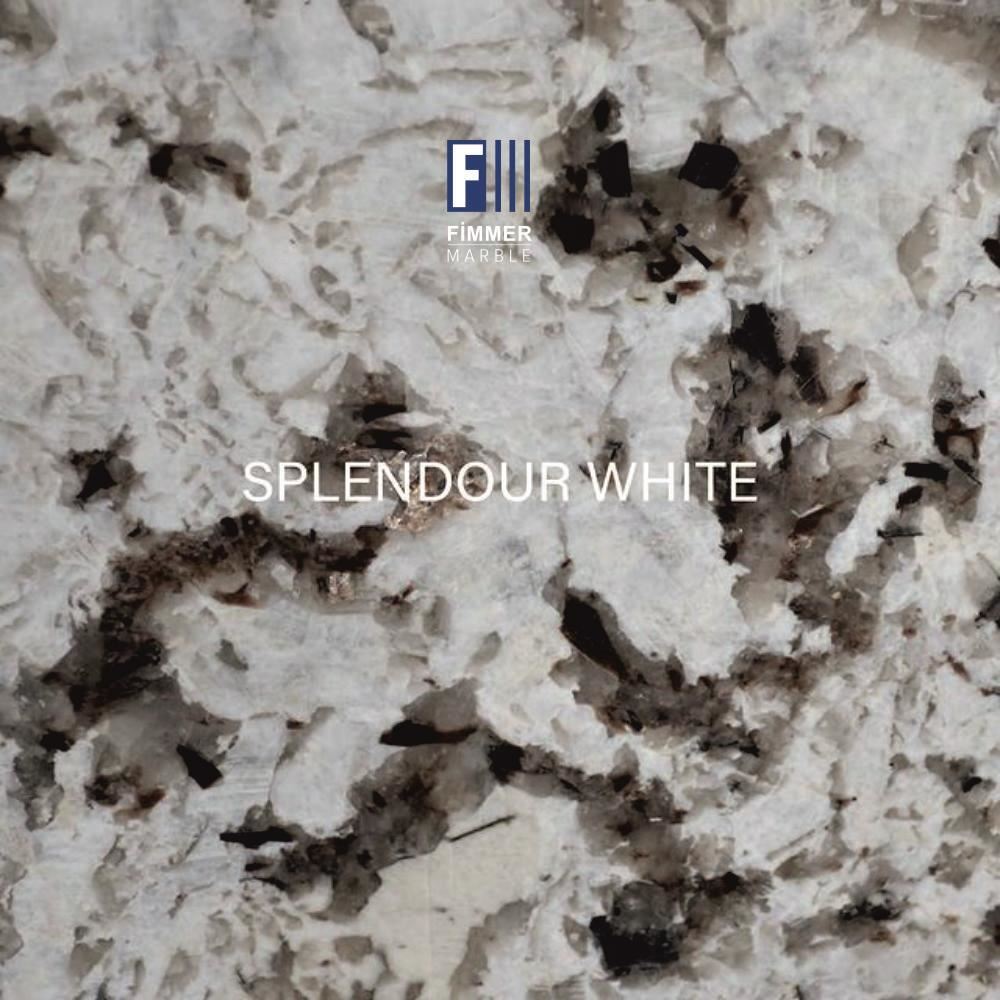 SPLENDOUR WHITE
